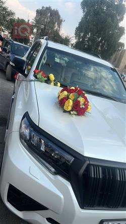 تويوتا لاندكروزر برادو